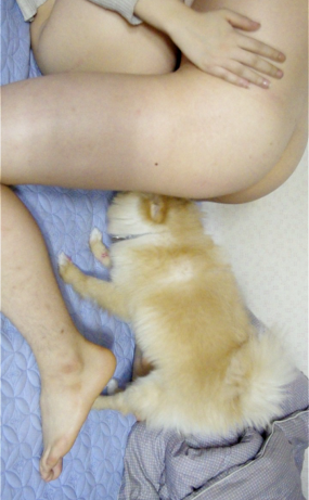 강아지있는데 섹스