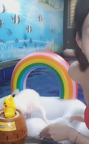 BJ이자벨 비키니방송0821