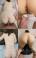 섹파시리즈 1~3탄
