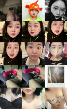 트위터 프린섹스 박키위