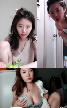 bj 과도기 모음