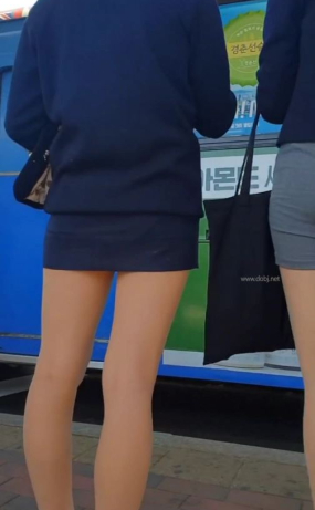 버스기다리는 개가방년