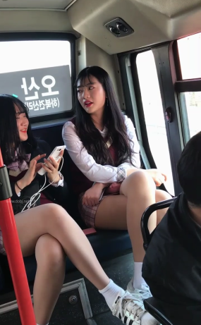 버스 하품년