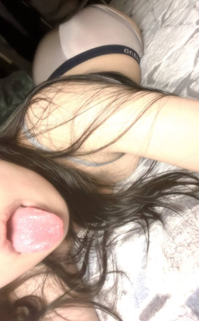 하리보